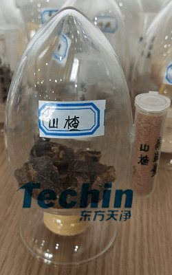 山楂麻豆AV无码观看前後