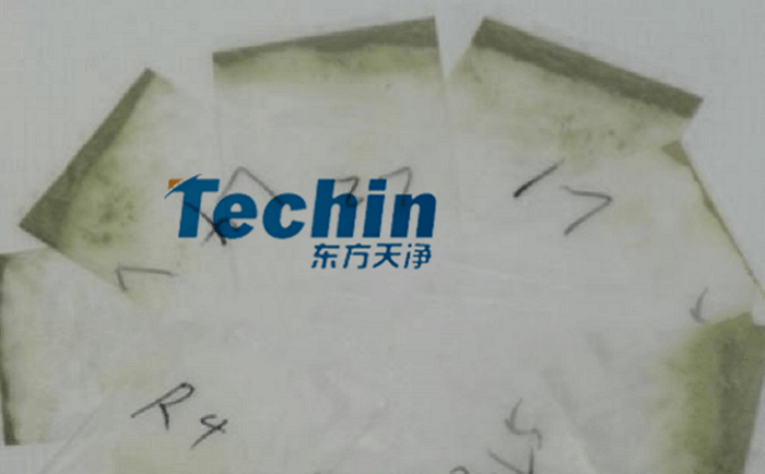 幹黃豆根莖麻豆AV无码观看後