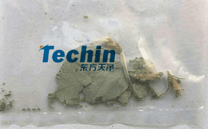 幹黃豆葉麻豆AV无码观看前