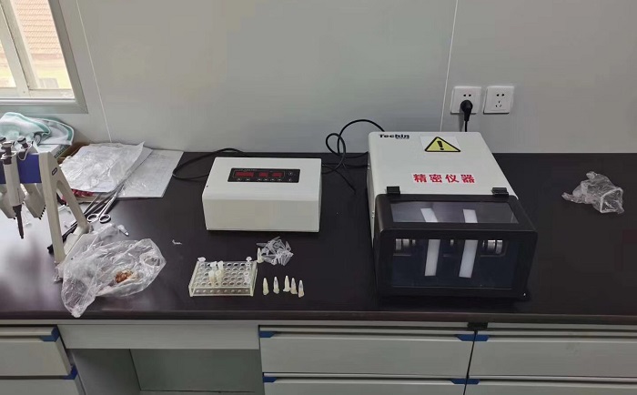 TJG高通量組織麻豆AV无码观看儀麻豆AV无码观看豬肉